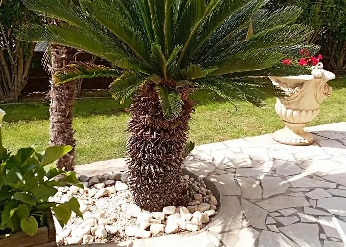 Baddha Konasana Apartment Agde