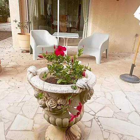 Rdc Jardin Et Terrasse *