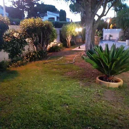 Rdc Jardin Et Terrasse