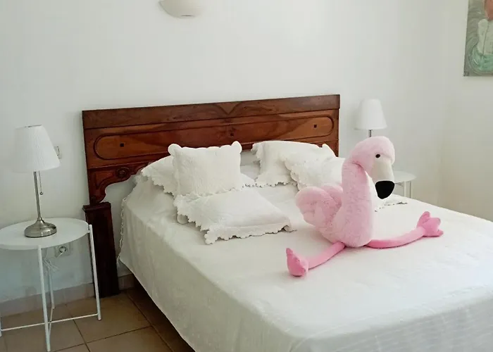 Baddha Konasana Apartment Agde